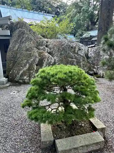 安房神社(千葉県)