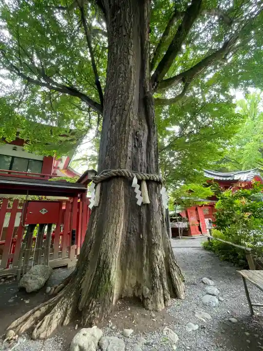 秩父神社(埼玉県)