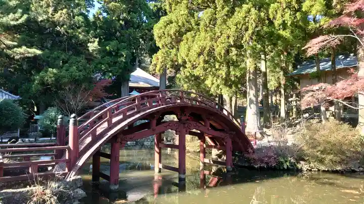 金剛證寺の庭園