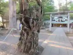 一言主神社(茨城県)