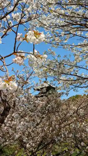 仁和寺(京都府)