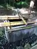 息栖神社の手水舎