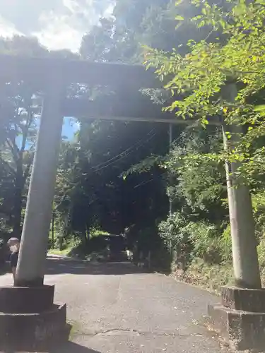 武蔵二宮 金鑚神社の鳥居