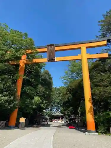 川越氷川神社(埼玉県)