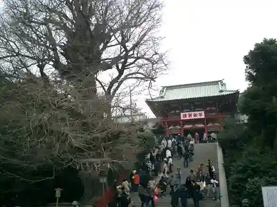 鶴岡八幡宮のその他建物