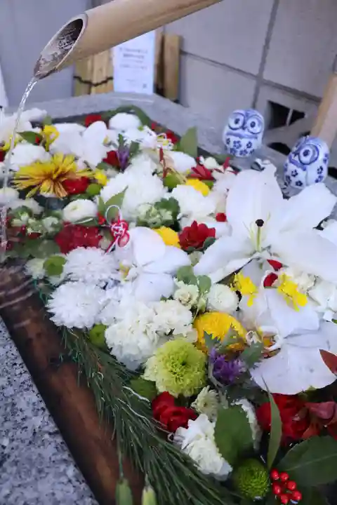 【閉業】小石川大神宮の手水舎