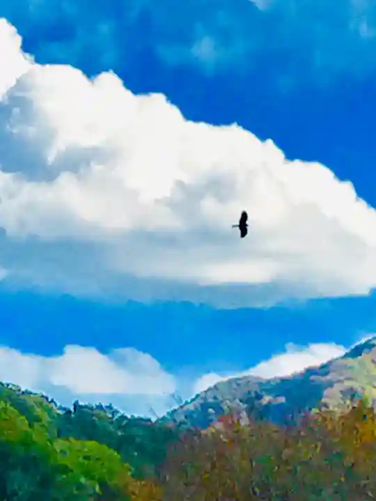 楽法寺(雨引観音)の動物