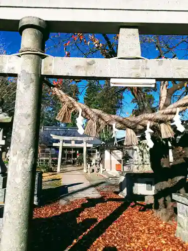 白山神社の鳥居