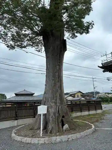 石井神社(茨城県)