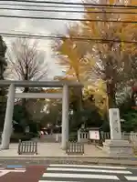 阿佐ヶ谷神明宮の鳥居