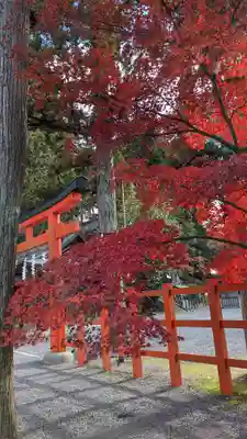吉田神社(京都府)