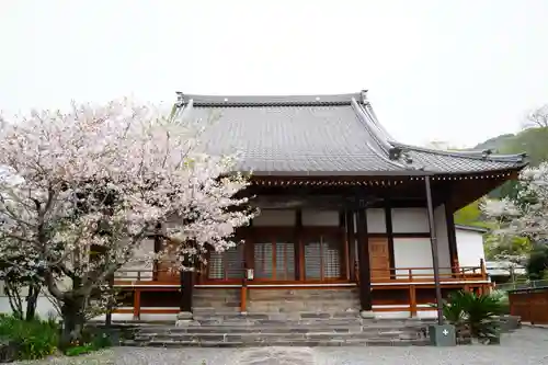 徳成寺の本殿・本堂