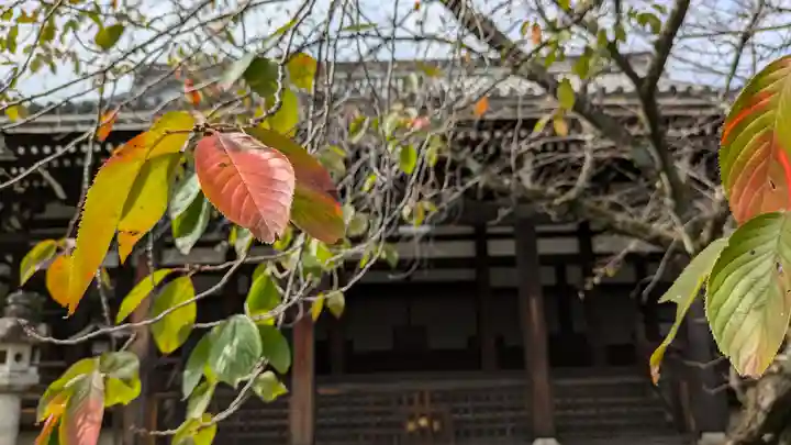 行願寺(革堂)(京都府)