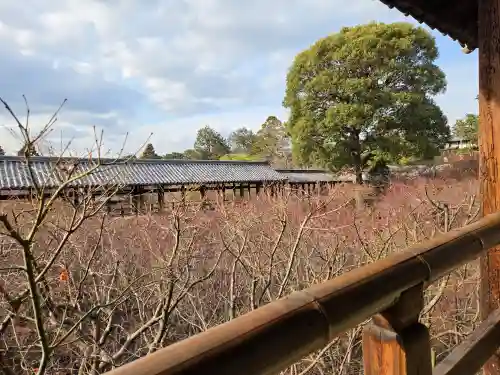 東福禅寺（東福寺）(京都府)