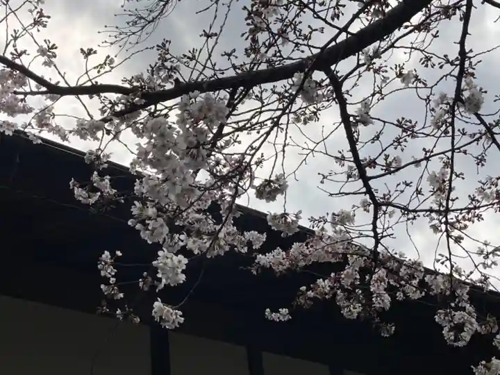 東伏見稲荷神社の自然