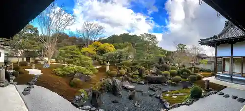 妙満寺の庭園