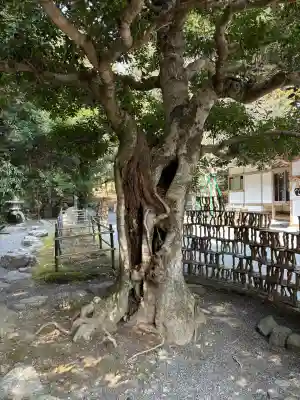 椿大神社(三重県)