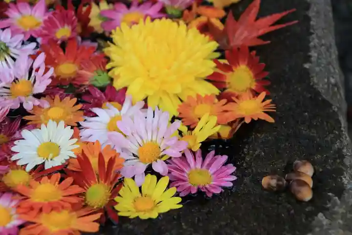大鏑神社の手水舎