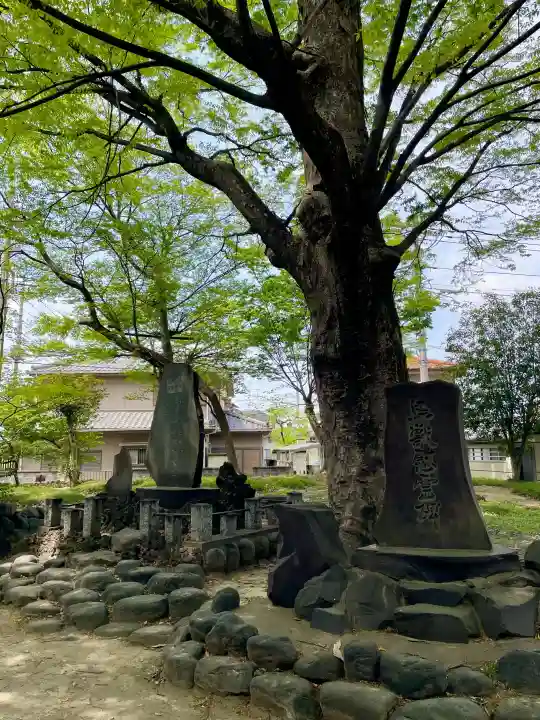 高城神社の{uncategorized: "未分類", other: "その他", undefined: "問題あり", building: "その他建物", grave: "お墓", sacred_gate: "鳥居", guardian: "狛犬", statue: "像", buddha: "仏像", history: "歴史", nature: "自然", garden: "庭園", animal: "動物", pagoda: "塔", temizu: "手水舎", mountain_gate: "山門・神門", sanctuary: "本殿・本堂", subordinate: "末社・摂社", art: "芸術", scenery: "景色", jizo: "地蔵", ema: "絵馬", goshuin: "御朱印", omikuji: "おみくじ", items: "授与品その他", amulet: "お守り", goshuincho: "御朱印帳", eats: "食事", festival: "お祭り", votive_dance: "神楽", shichigosan: "七五三参", wedding: "結婚式", experience: "体験その他", initially: "初詣", around: "周辺", anti_infection: "感染症対策"}