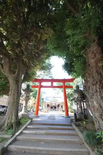 天沼八幡神社の鳥居