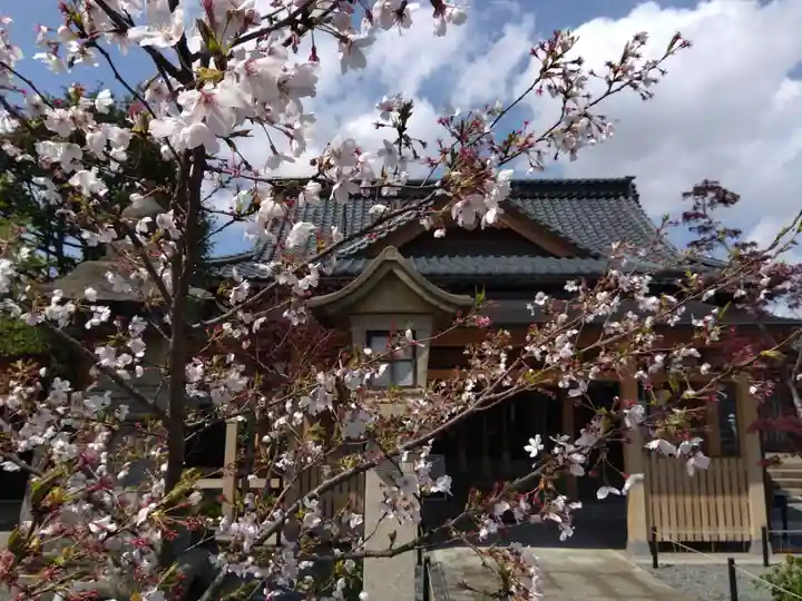 總社 和田八幡宮(福井県)