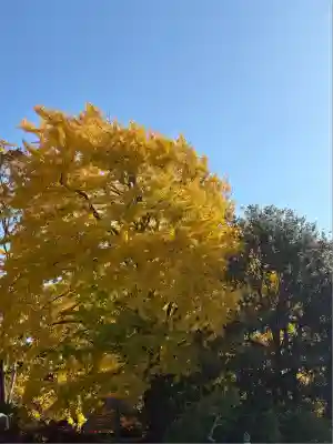 高徳院(神奈川県)