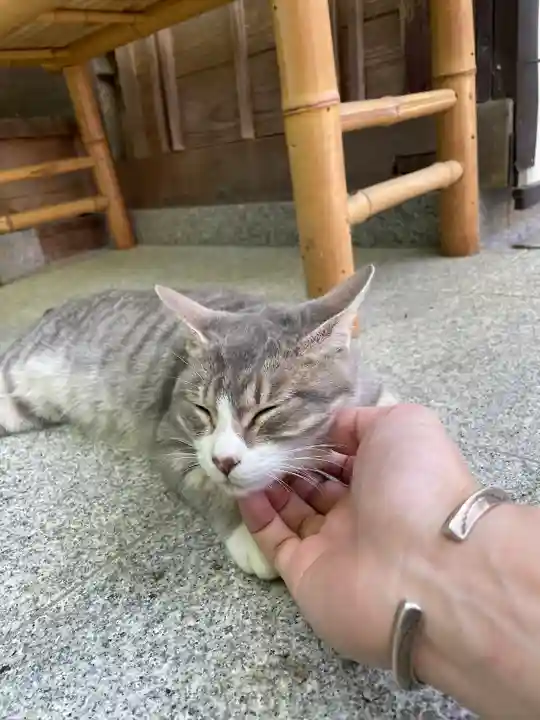 玉野御嶽神社の動物