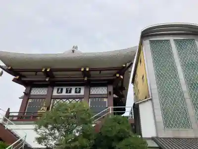 真了寺の{uncategorized: "未分類", other: "その他", undefined: "問題あり", building: "その他建物", grave: "お墓", sacred_gate: "鳥居", guardian: "狛犬", statue: "像", buddha: "仏像", history: "歴史", nature: "自然", garden: "庭園", animal: "動物", pagoda: "塔", temizu: "手水舎", mountain_gate: "山門・神門", sanctuary: "本殿・本堂", subordinate: "末社・摂社", art: "芸術", scenery: "景色", jizo: "地蔵", ema: "絵馬", goshuin: "御朱印", omikuji: "おみくじ", items: "授与品その他", amulet: "お守り", goshuincho: "御朱印帳", eats: "食事", festival: "お祭り", votive_dance: "神楽", shichigosan: "七五三参", wedding: "結婚式", experience: "体験その他", initially: "初詣", around: "周辺", anti_infection: "感染症対策"}