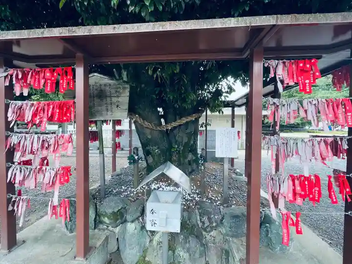白山神社(二子町)の自然