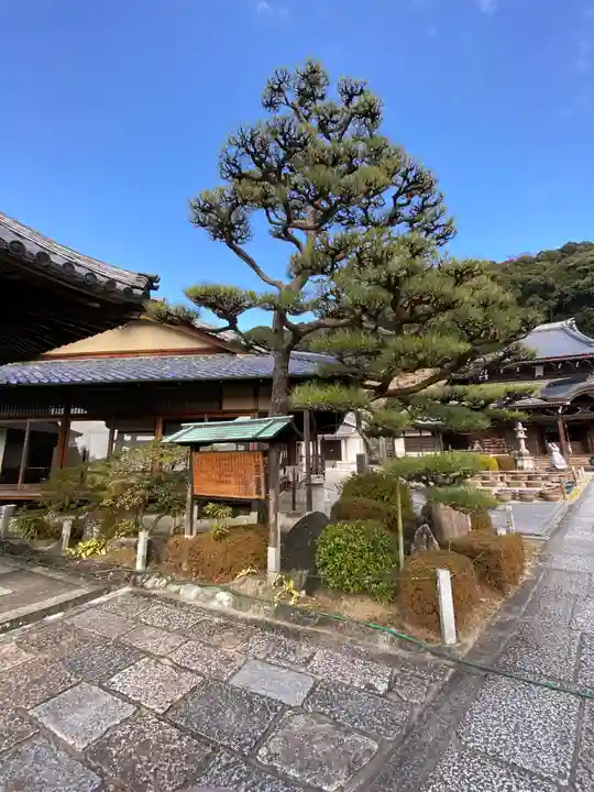 三室戸寺(京都府)