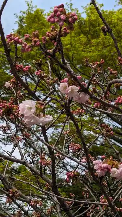 大報恩寺(千本釈迦堂)(京都府)