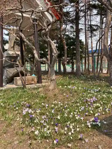 南線神社の自然