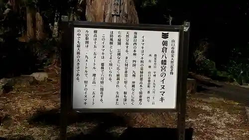 朝倉八幡宮(山口県)