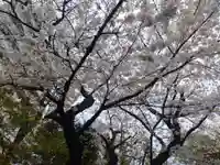 厳浄院(東京都)