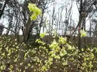 常昌院(神奈川県)