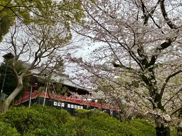 清水観音堂の{uncategorized: "未分類", other: "その他", undefined: "問題あり", building: "その他建物", grave: "お墓", sacred_gate: "鳥居", guardian: "狛犬", statue: "像", buddha: "仏像", history: "歴史", nature: "自然", garden: "庭園", animal: "動物", pagoda: "塔", temizu: "手水舎", mountain_gate: "山門・神門", sanctuary: "本殿・本堂", subordinate: "末社・摂社", art: "芸術", scenery: "景色", jizo: "地蔵", ema: "絵馬", goshuin: "御朱印", omikuji: "おみくじ", items: "授与品その他", amulet: "お守り", goshuincho: "御朱印帳", eats: "食事", festival: "お祭り", votive_dance: "神楽", shichigosan: "七五三参", wedding: "結婚式", experience: "体験その他", initially: "初詣", around: "周辺", anti_infection: "感染症対策"}