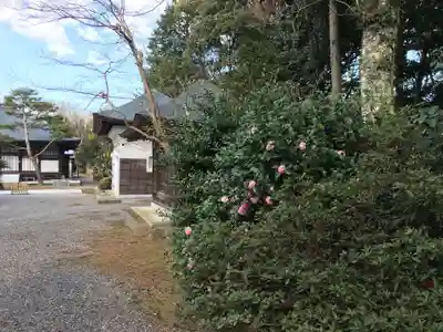 岩田寺の庭園