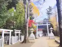 荻窪八幡神社(東京都)
