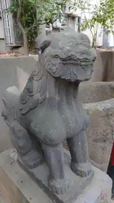 富岡八幡宮の狛犬