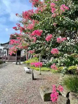 定願寺(栃木県)