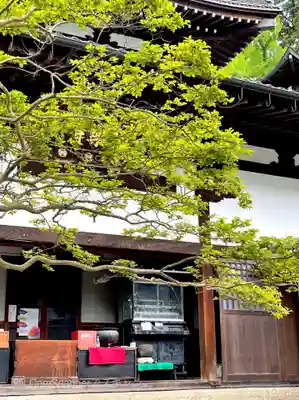 極楽寺の本殿・本堂