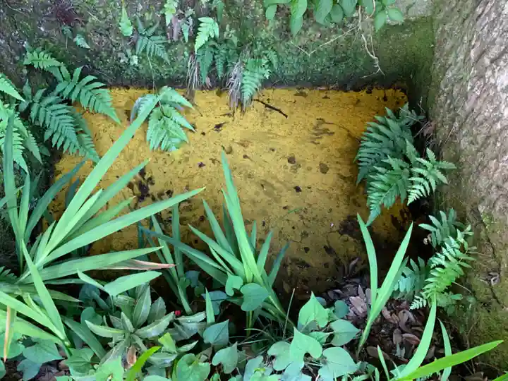 四宮神社の自然
