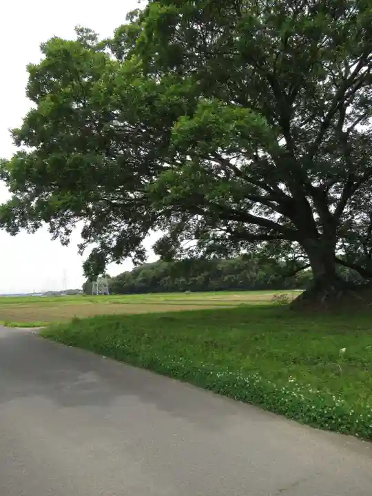 神明神社(千葉県)