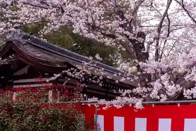 平野神社(京都府)