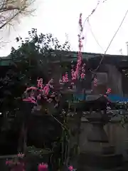 小野照崎神社の自然