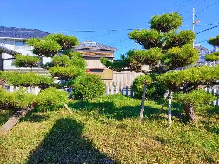 神明神社(上中町長間)の自然