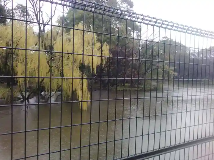 菊田神社の自然