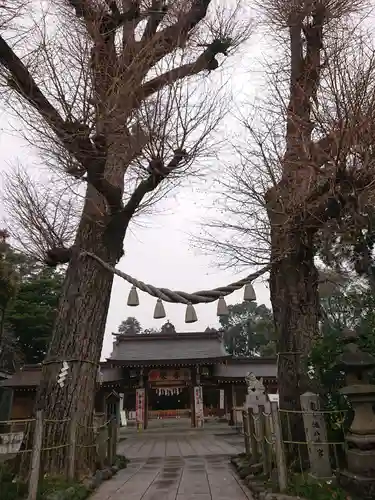 亀ケ池八幡宮の自然