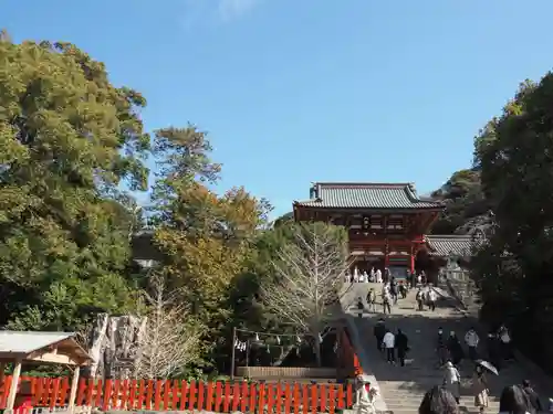 鶴岡八幡宮の景色