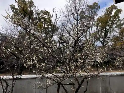 三津厳島神社の御朱印